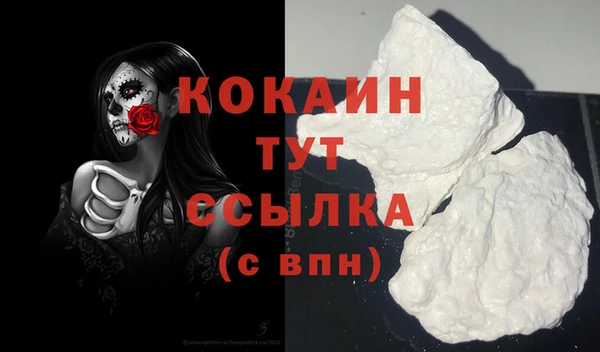 mdpv Каменка